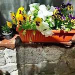 Rooms More Δωμάτια σε οικογενειακή κατοικία