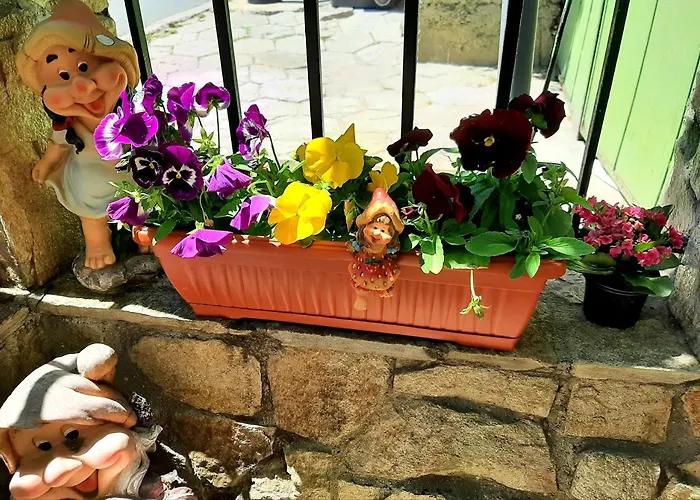 Rooms More סוזופול